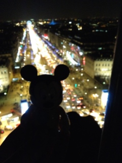 Champs Elysees from the Arc de Triomphe