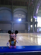 Grand Palais ice skating rink